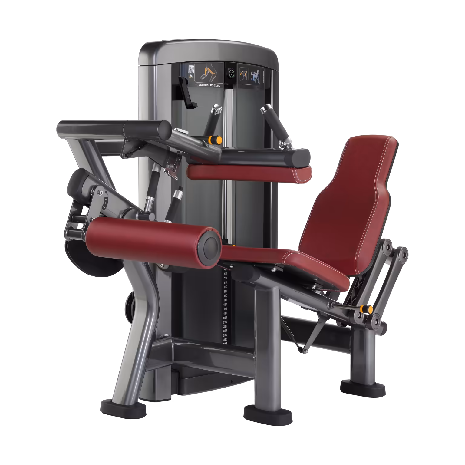 Seated Leg Curl LS #1