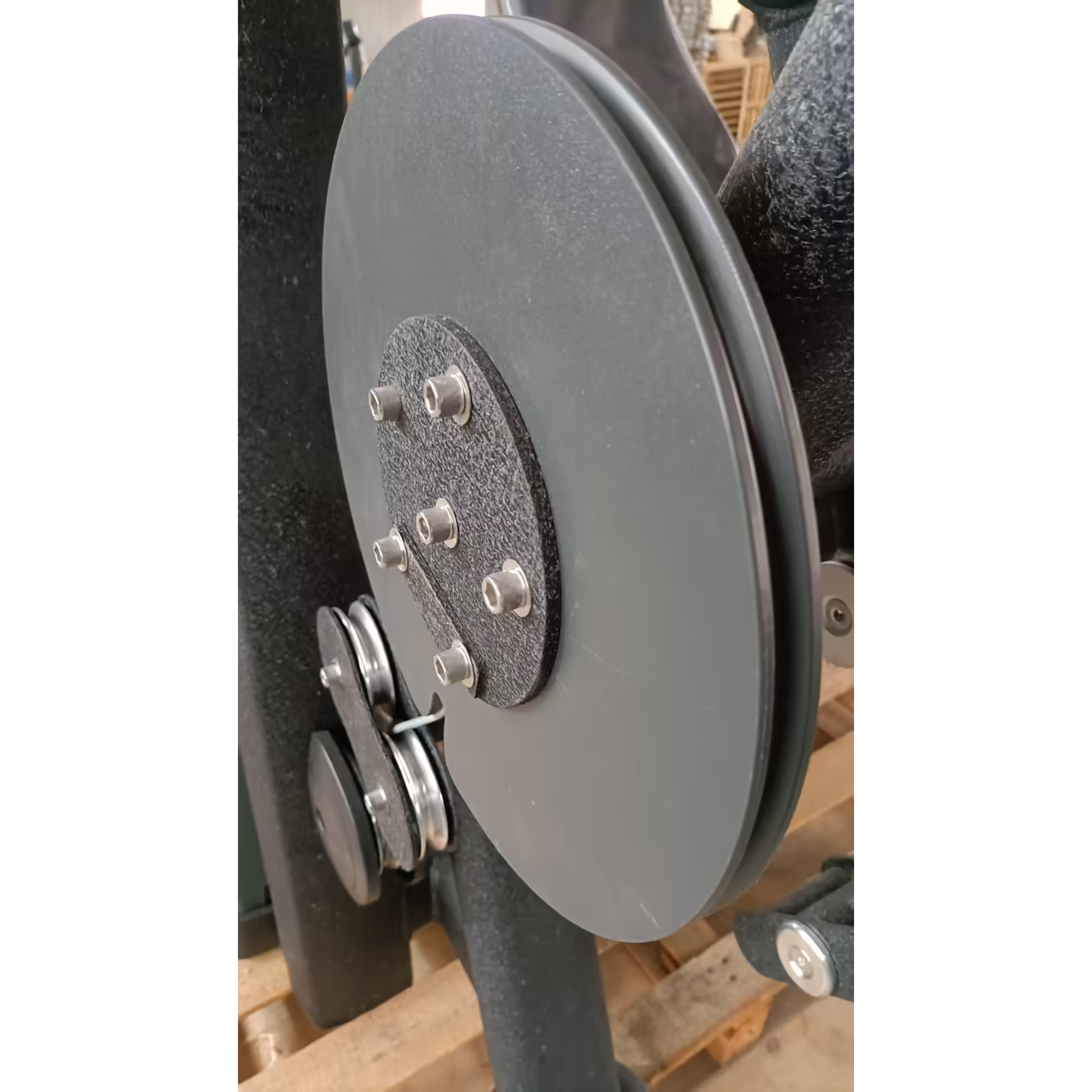 Seated Leg Curl LS #4