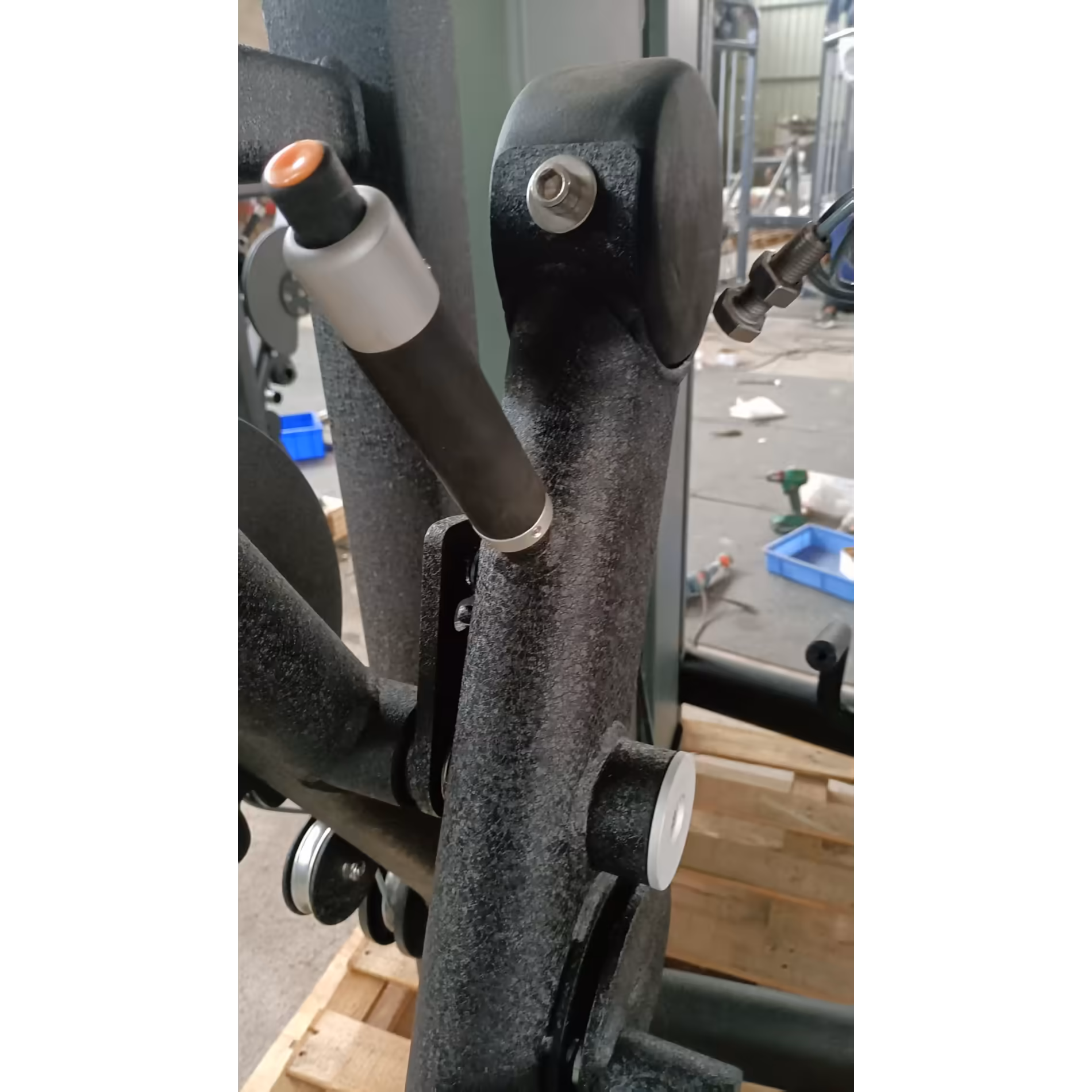 Seated Leg Curl LS #3