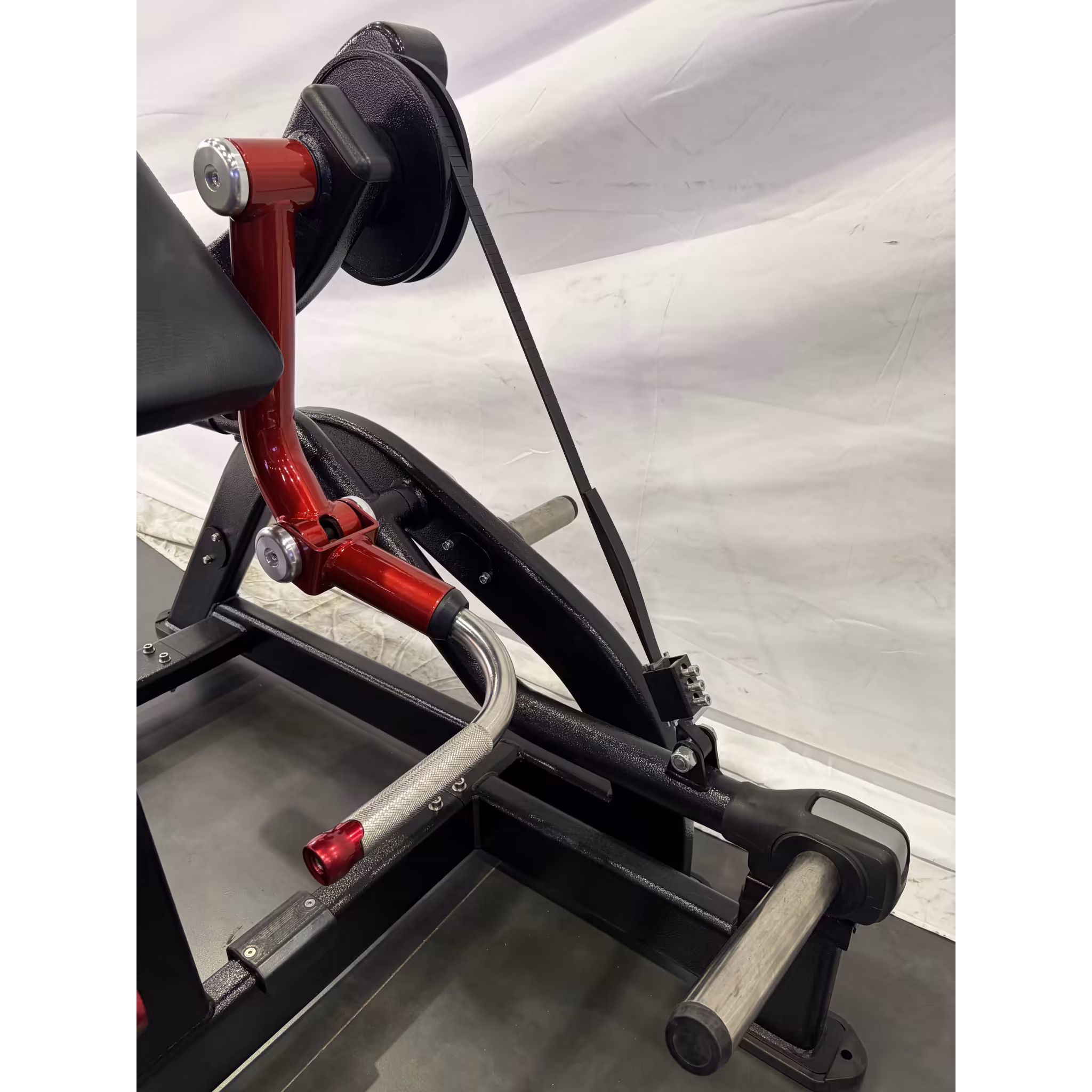 Biceps Curl NA #3