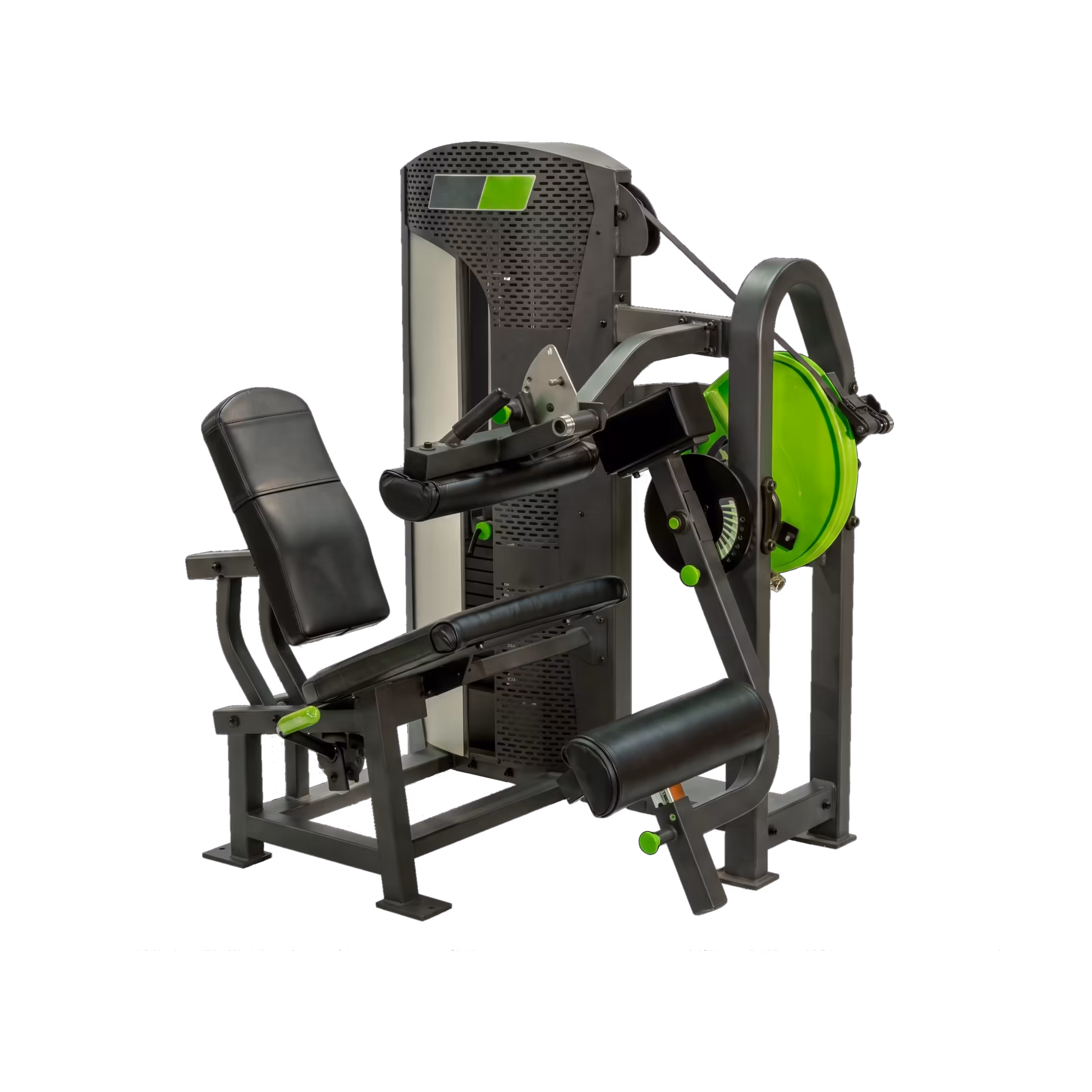 Seated Leg Curl Pin Loaded PE #1