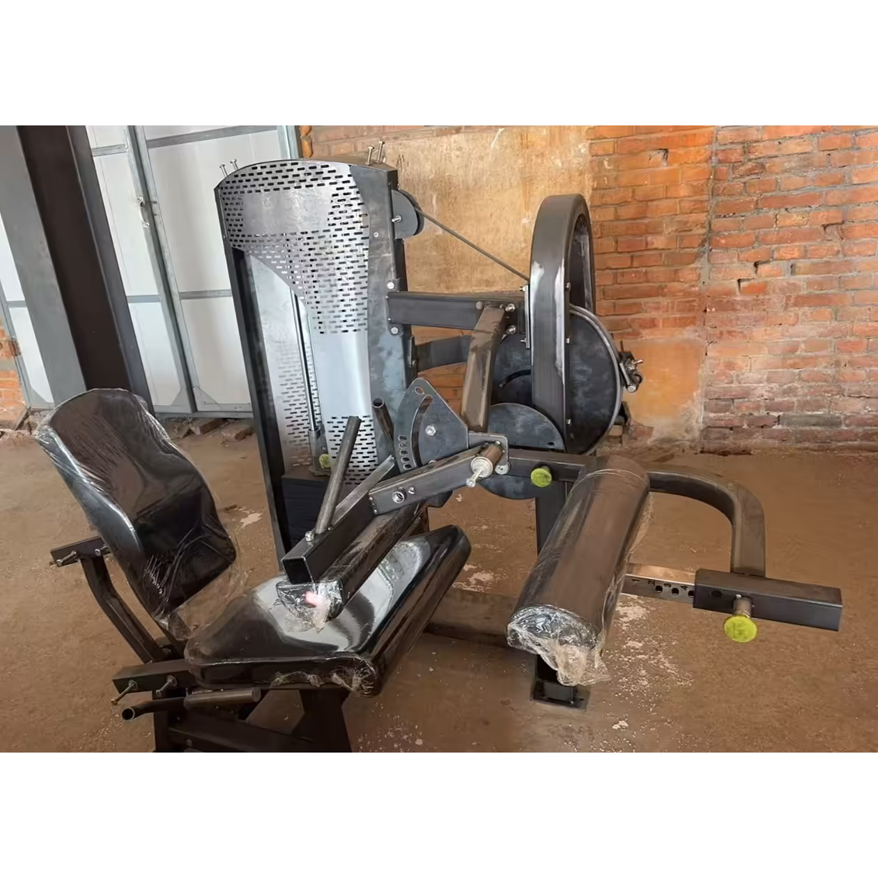 Seated Leg Curl Pin Loaded PE #2