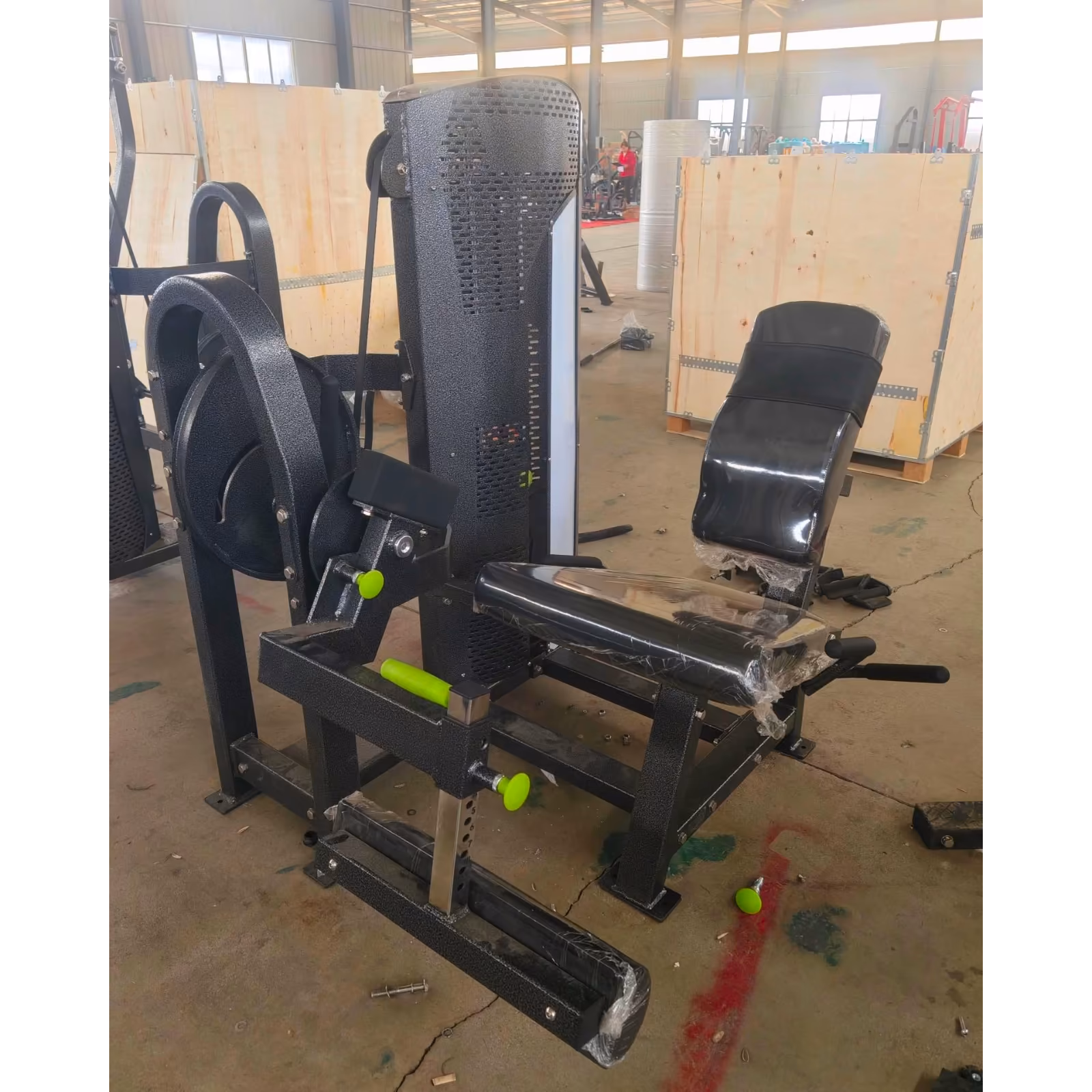 Leg Extension Pin Loaded PE #2