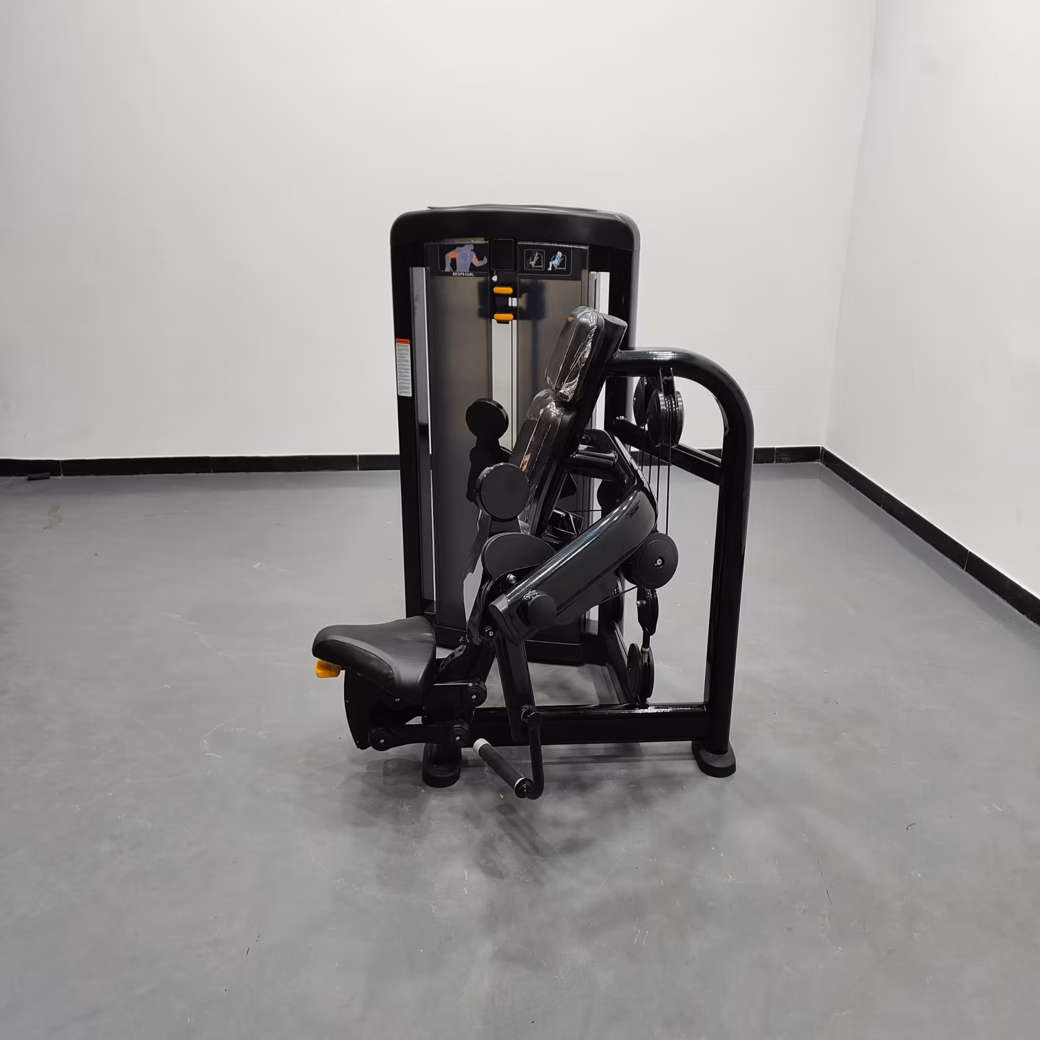 Biceps Curl LS #2