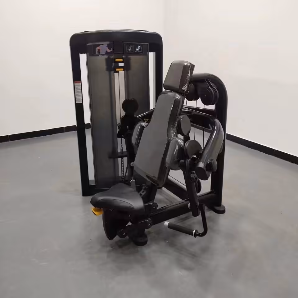 Biceps Curl LS #3