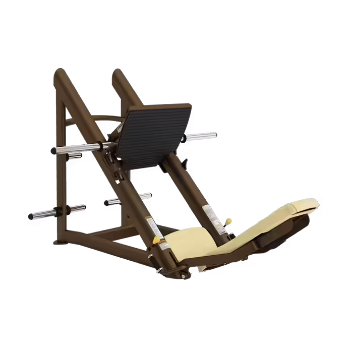 Leg Press 45° CY #1
