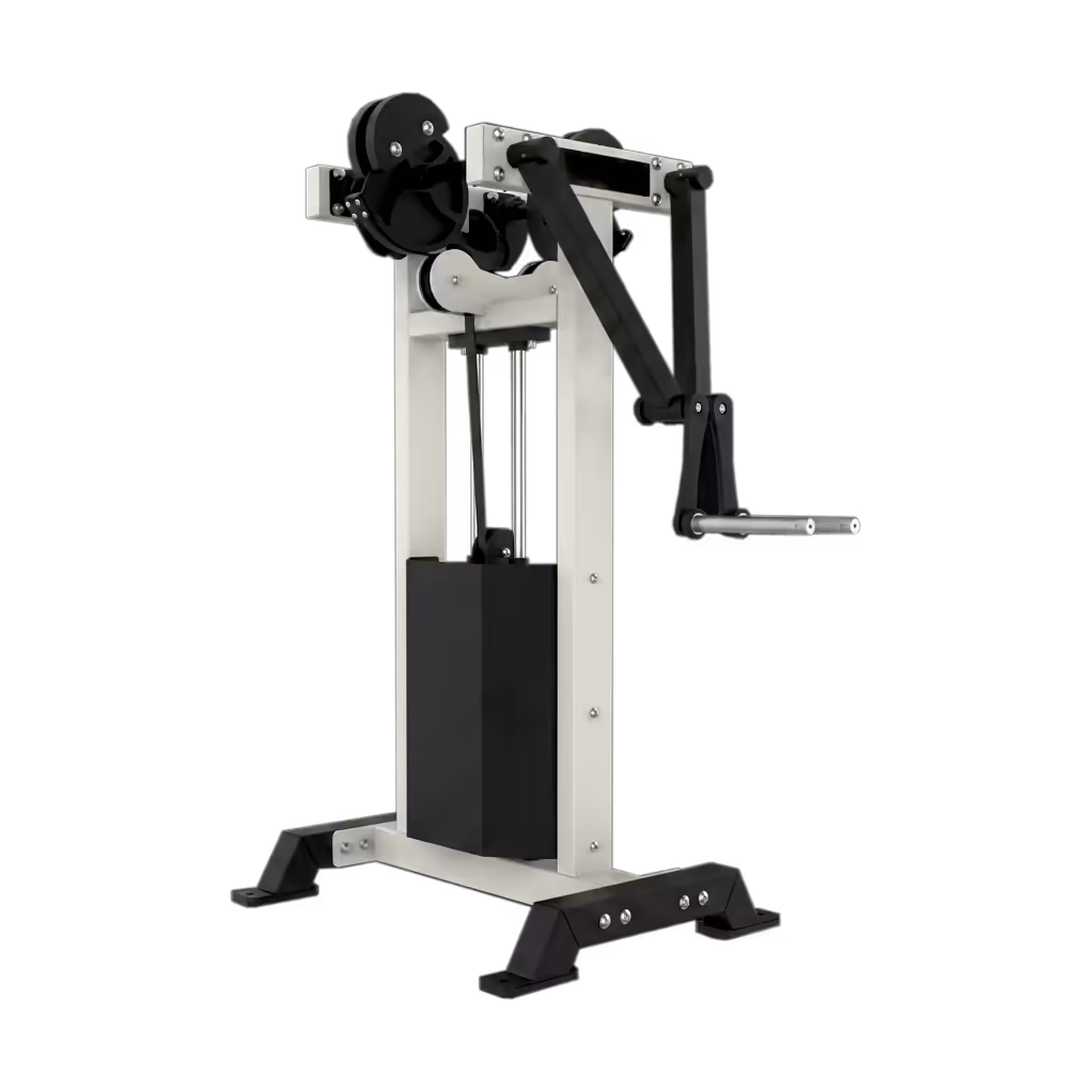 Standing Lateral Raise AR