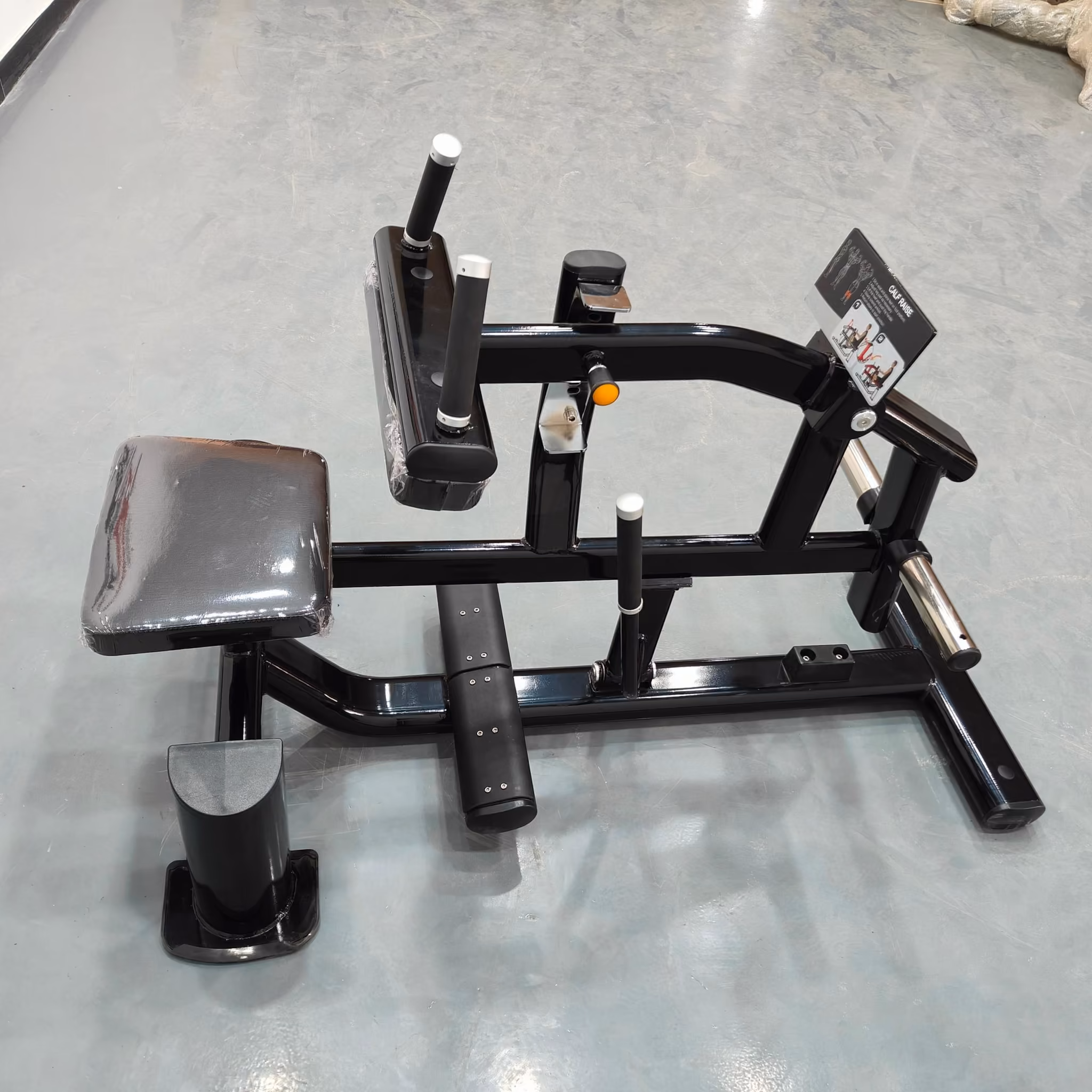 Seated Calf LS #3
