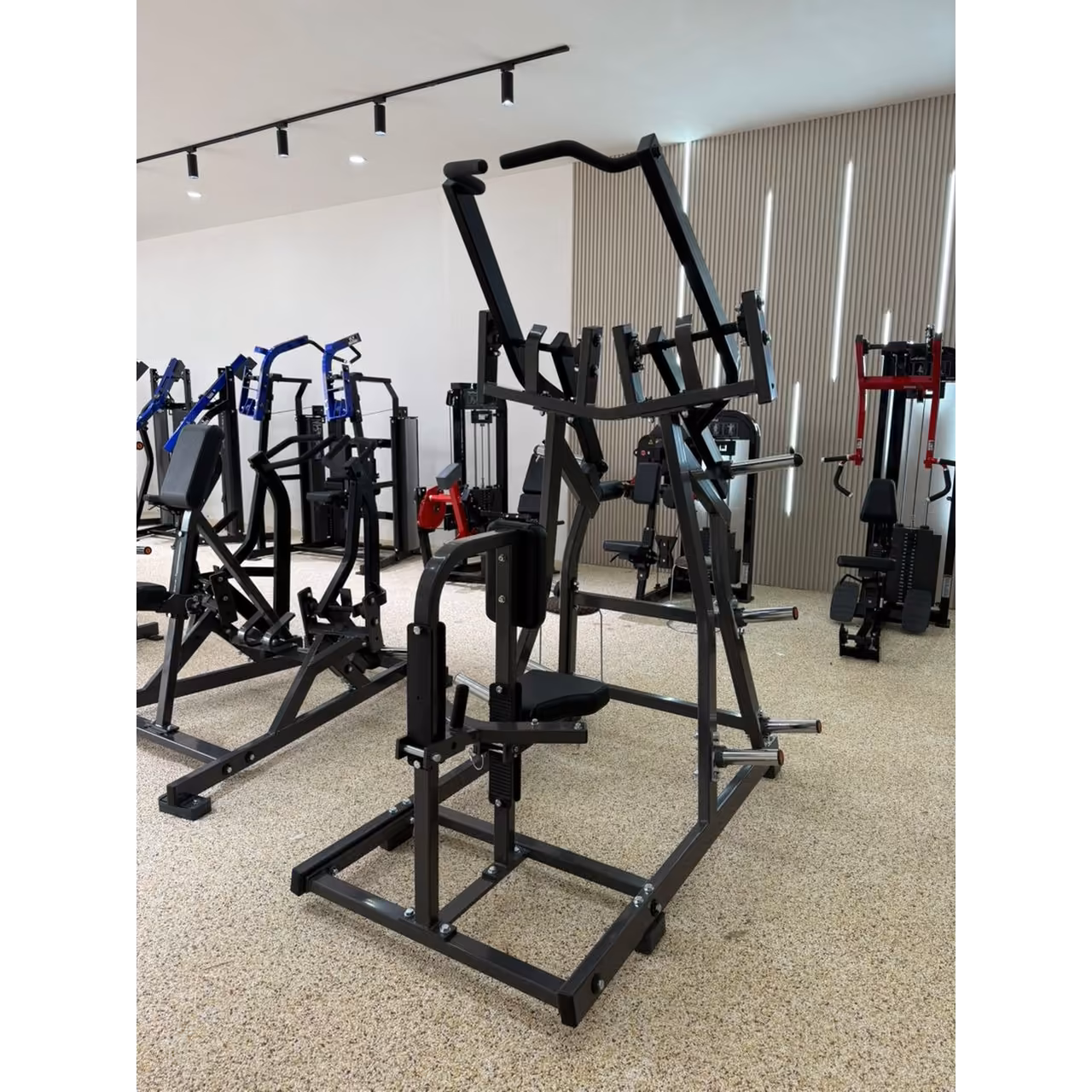 Iso-Lateral Front Lat Pulldown Plate Loaded HR #2